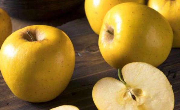 عرضه عمده سیب درختی زرد