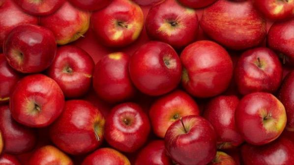 روش نگهداری سیب برای طولانی مدت