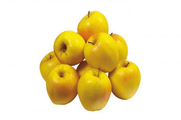 قیمت عمده سیب زرد صادراتی