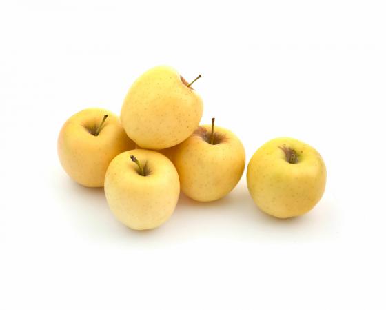 خرید مستقیم سیب گلاب شیراز