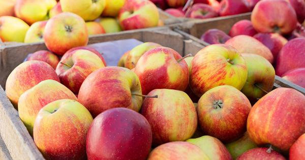 قیمت فروش سیب درختی درجه 1