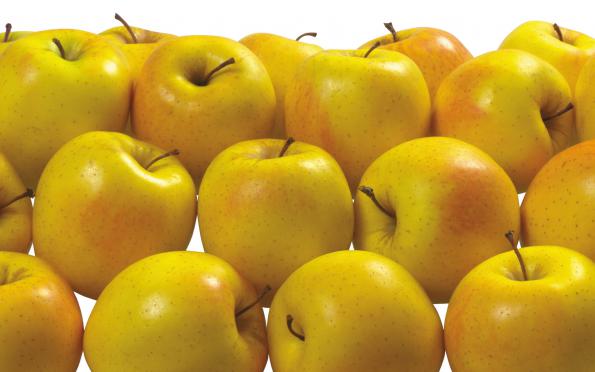 خرید اینترنتی سیب زرد به قیمت استثنایی از فروشنده معتبر