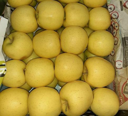 دفع سموم بدن با مصرف سیب گلاب