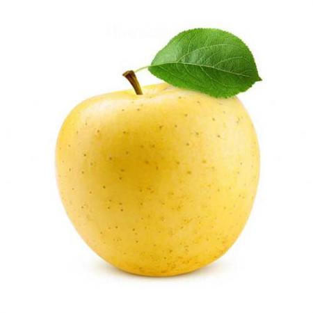 عرضه بی واسطه سیب ماتیکی با کیفیت