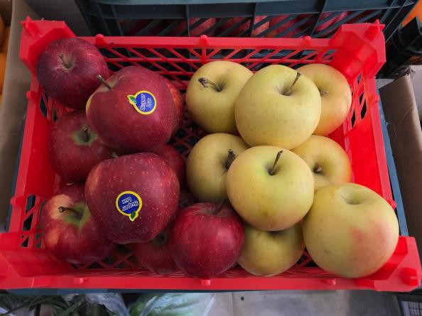 همه چیز درباره اهمیت مصرف سیب