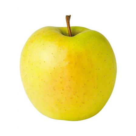 روش های تشخیص بهترین نوع سیب درختی صادراتی