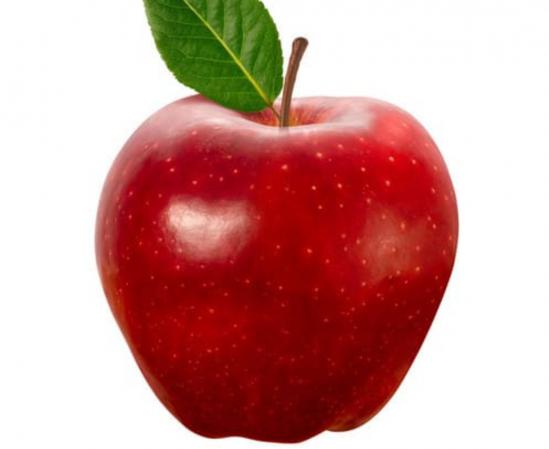 فروش بدون واسطه سیب سرخ در قزوین