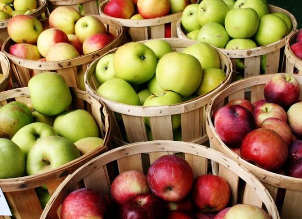 ویژگی سیب درختی ممتاز