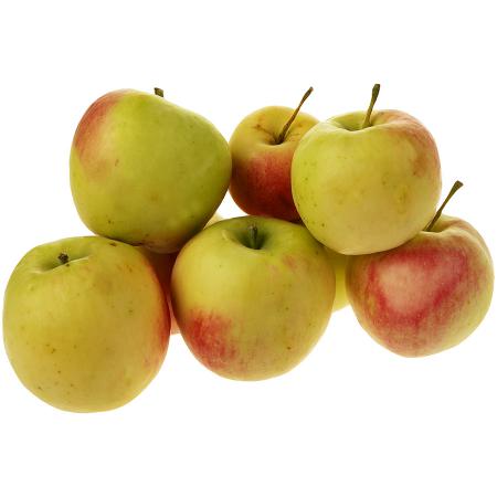 مراکز فروش سیب گلاب با کیفیت در سراسر کشور