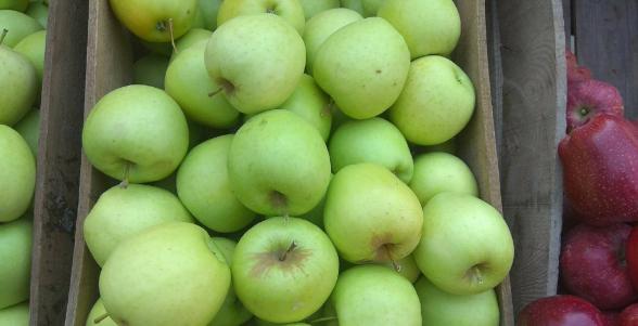 بازار خرید سیب درجه یک