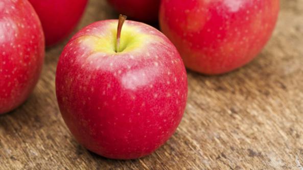 فروشنده بهترین سیب سرخ ترش