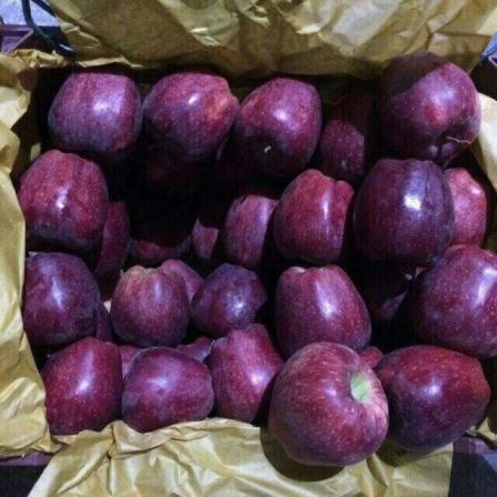 صفر تا صد صادرات سیب قرمز