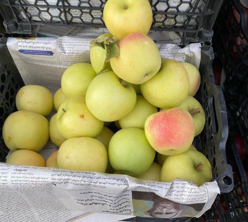 چگونه بهترین نوع سیب را تشخیص دهیم