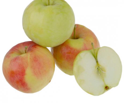 نکاتی برای انتخاب بهترین سیب درختی