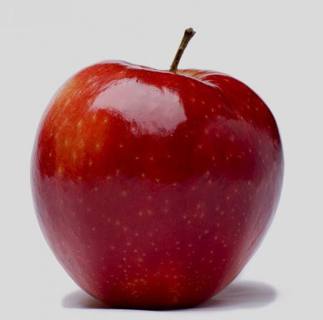 قیمت عمده سیب قرمز لبنان