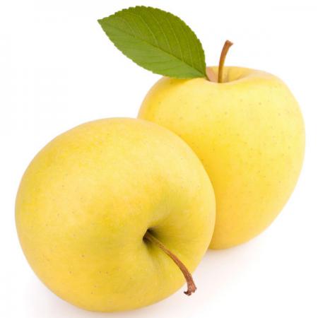 شرکت صادرکننده سیب درختی زرد