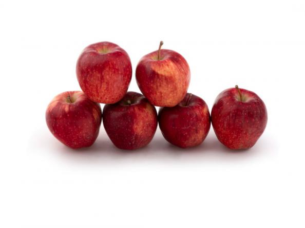 پخش بی واسطه سیب لبنانی عمده