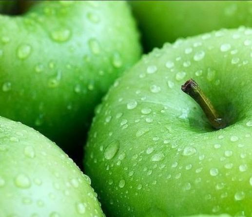 تضمین کیفیت سیب دماوند