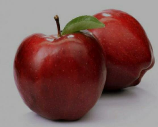 چگونگی تشخیص بهترین سیب درختی