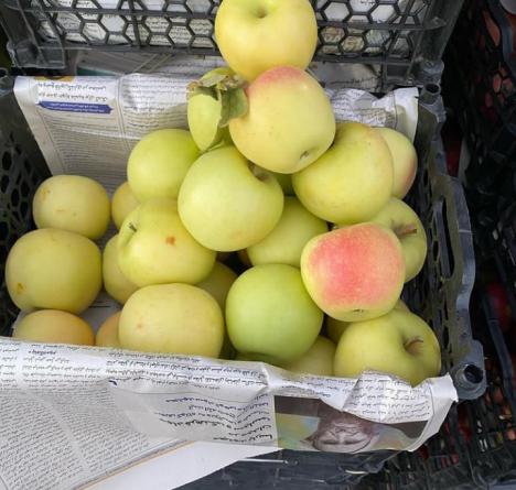 صادرات سیب زرد عمده به پاکستان