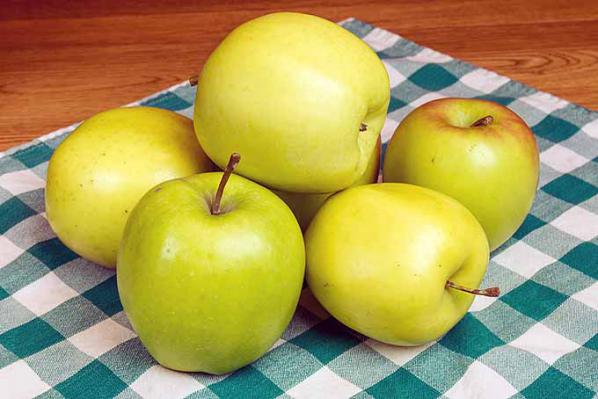 پخش عمده سیب درختی لبنانی