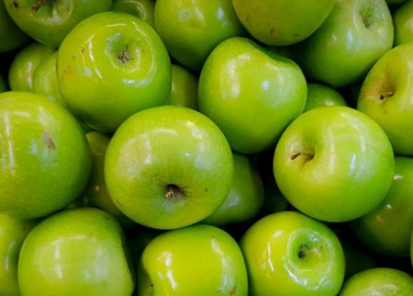 تولید کننده عمده سیب سبز ترش