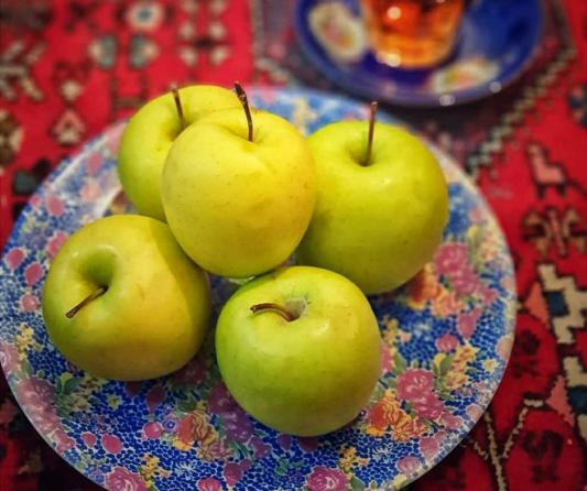 مرکز فروش سیب درختی با پایین ترین قیمت