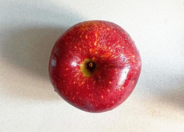 عرضه کننده انواع سیب قرمز با کیفیت