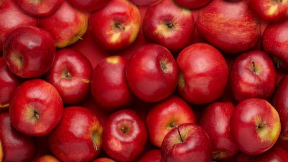 کدام کشورها بیشترین آمار واردات سیب را دارد