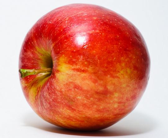 مراکز فروش سیب درختی درجه یک در شهر تهران