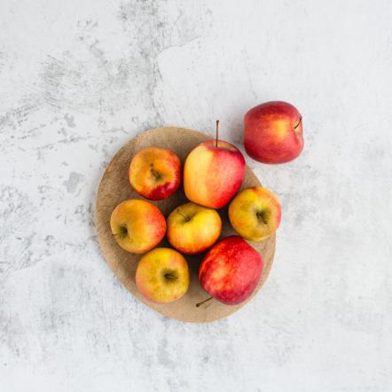 گام به گام صادرات سیب درختی