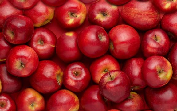 فروش ویژه سیب درختی خارجی