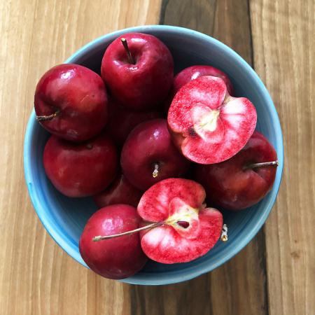 خصوصیات سیب درختی خارجی 