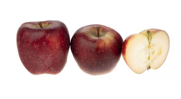 توزیع کننده عمده سیب قرمز گلخانه ای