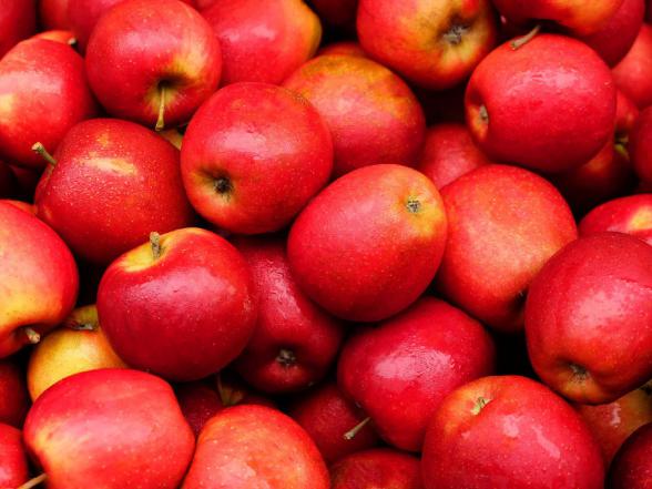 توزیع مستقیم سیب تو قرمز شاهرود