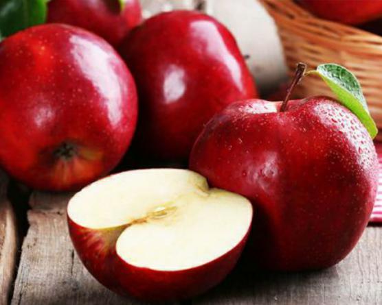 فروش عمده سیب درختی مستقیم از تولید کننده