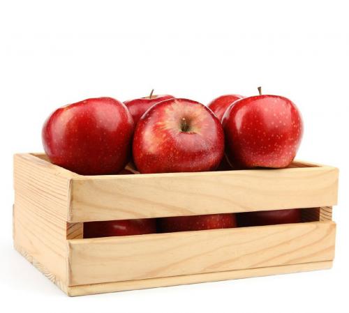 خرید کلی سیب قرمز صادراتی