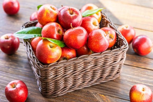 آنچه که باید درباره سیب درختی صادراتی بدانیم