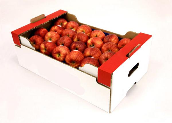 فروش ویژه سیب بسته بندی