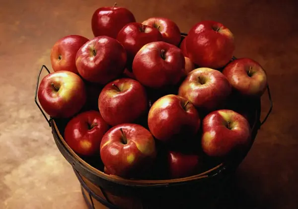 عواملی که بر کیفیت سیب صادراتی تاثیر دارد 