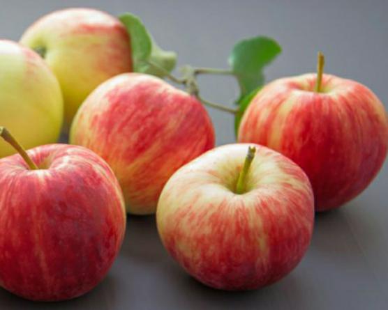 ویژگی های سیب گلاب اصل