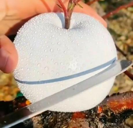 قیمت ویژه سیب ترش سفید در بازار تهران