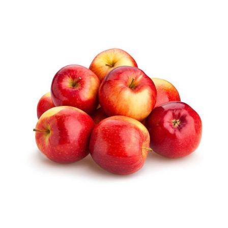 خرید سیب گلاب سرخ مستقیم از تولید کننده