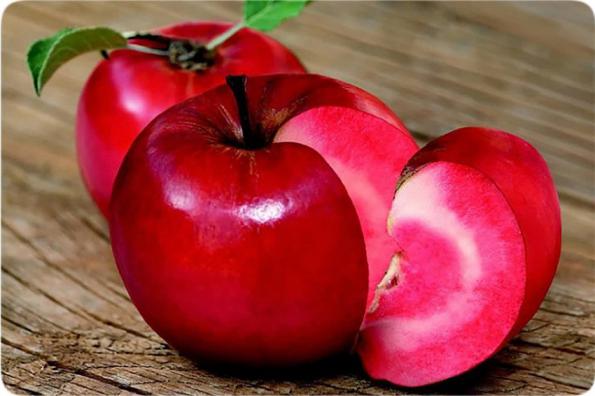 نرخ سیب توسرخ درجه یک و صادراتی در فروشگاه های شاهرود