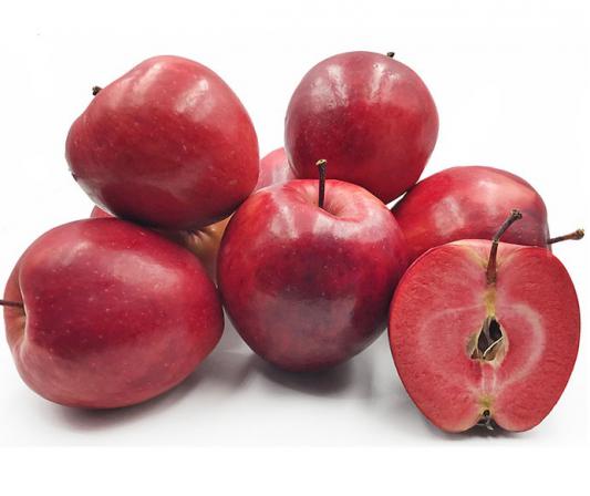 بهترین نوع سیب درختی برای صادرات