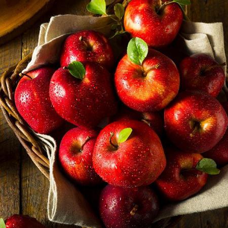 خرید بدون واسطه سیب قرمز به صورت عمده