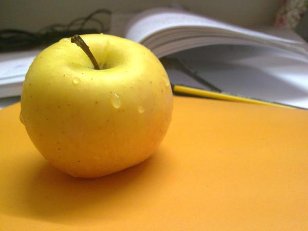 مرکز عرضه سیب درختی ارگانیک