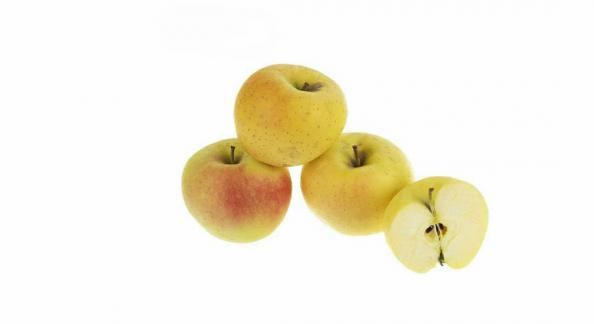 خصوصیات بهترین  نوع سیب صادراتی سمیرم