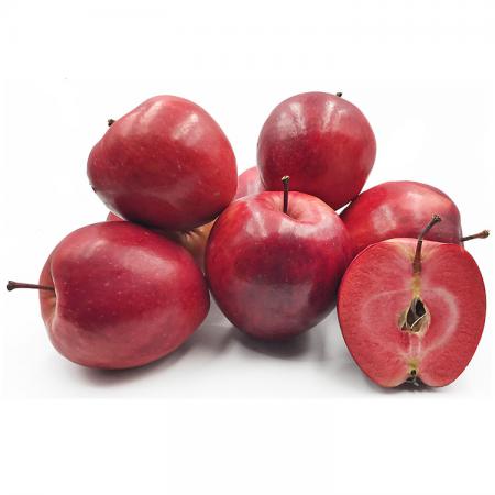 فروشگاه بزرگ سیب درختی تو سرخ در شیراز