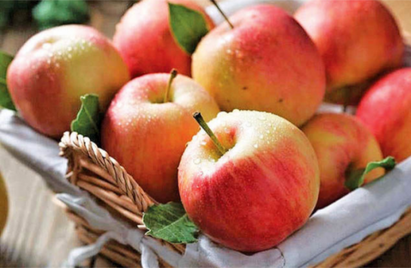 بررسی عوامل موثر بر افزایش صادرات سیب 